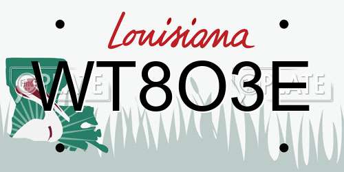 WT8O3E Louisiana License Plate