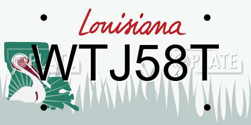 WTJ58T Louisiana License Plate
