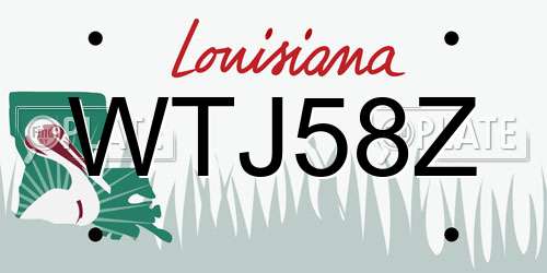 WTJ58Z Louisiana License Plate