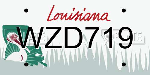 WZD719 Louisiana License Plate