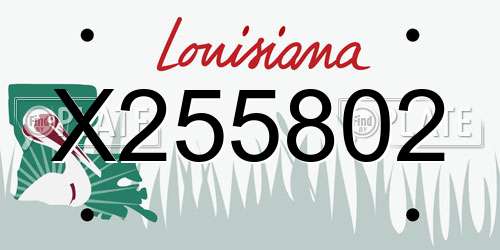 X255802 Louisiana License Plate