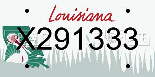 X291333 Louisiana License Plate