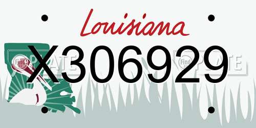 X306929 Louisiana License Plate