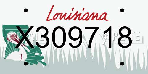 X309718 Louisiana License Plate