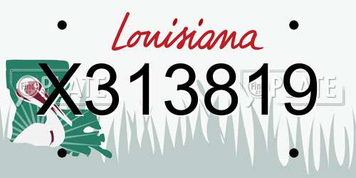 X313819 Louisiana License Plate