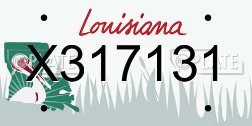 X317131 Louisiana License Plate