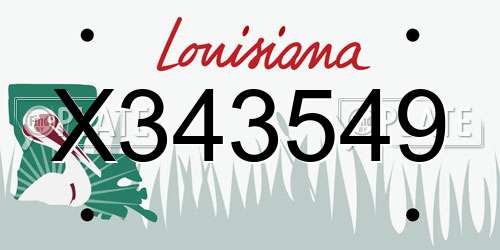 X343549 Louisiana License Plate
