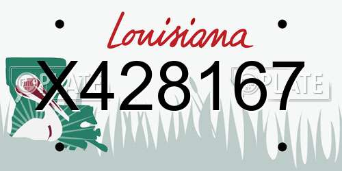X428167 Louisiana License Plate