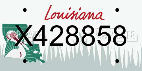 X428858 Louisiana License Plate