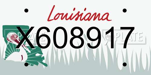 X608917 Louisiana License Plate