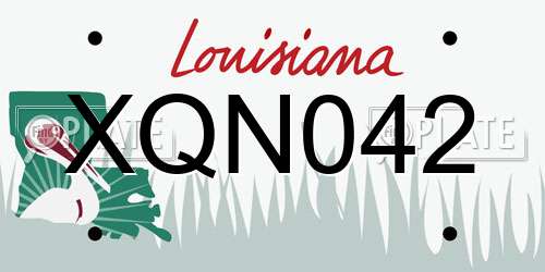 XQN042 Louisiana License Plate