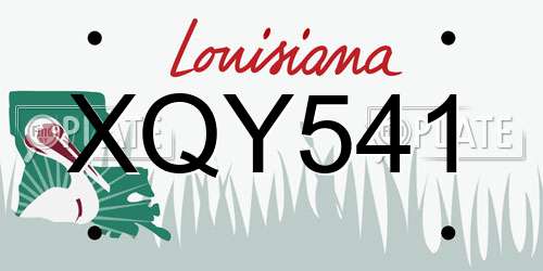 XQY541 Louisiana License Plate