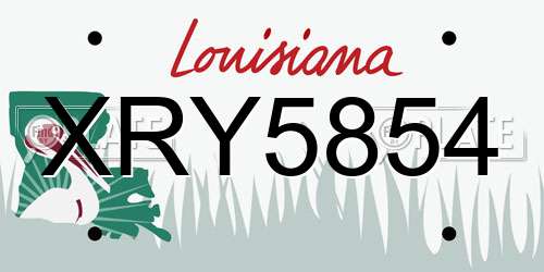 XRY5854 Louisiana License Plate