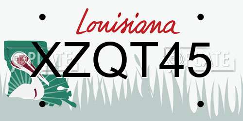 XZQT45 Louisiana License Plate