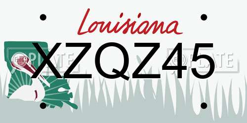 XZQZ45 Louisiana License Plate