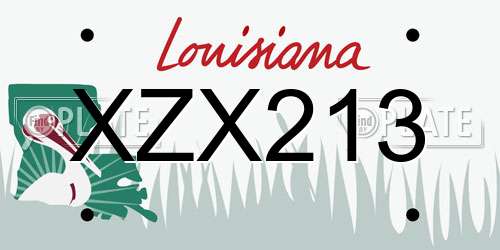 XZX213 Louisiana License Plate