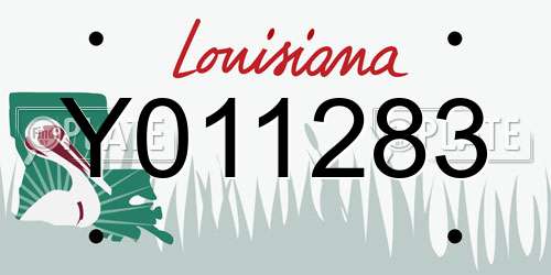 Y011283 Louisiana License Plate