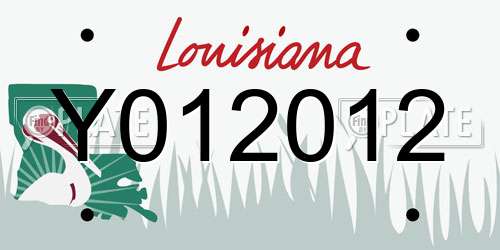 Y012012 Louisiana License Plate