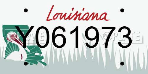 Y061973 Louisiana License Plate