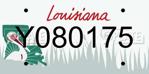 Y080175 Louisiana License Plate