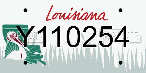 Y110254 Louisiana License Plate
