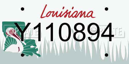 Y110894 Louisiana License Plate