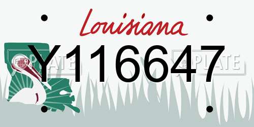 Y116647 Louisiana License Plate