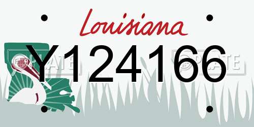 Y124166 Louisiana License Plate