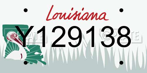 Y129138 Louisiana License Plate