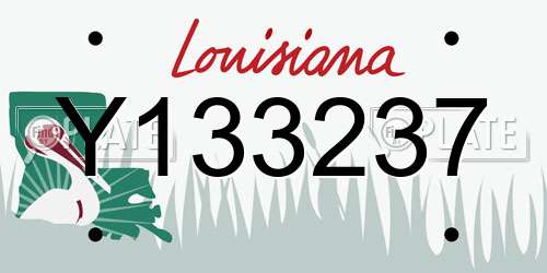 Y133237 Louisiana License Plate