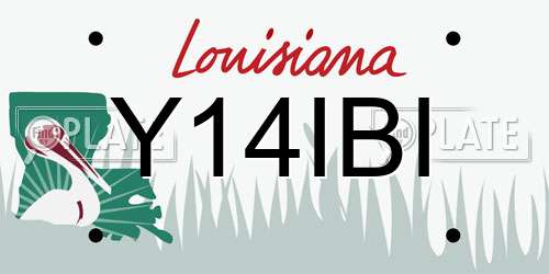 Y14IBI Louisiana License Plate