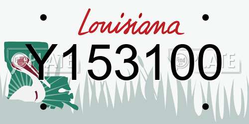 Y153100 Louisiana License Plate