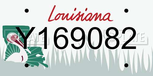 Y169082 Louisiana License Plate