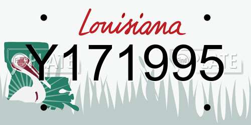 Y171995 Louisiana License Plate