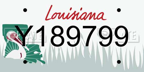 Y189799 Louisiana License Plate