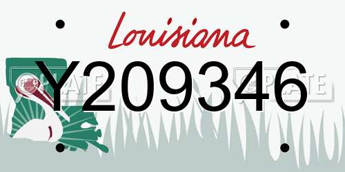 Y209346 Louisiana License Plate