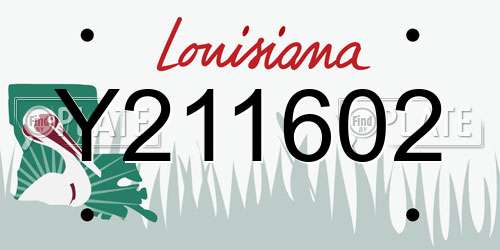 Y211602 Louisiana License Plate