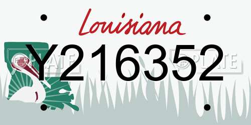 Y216352 Louisiana License Plate