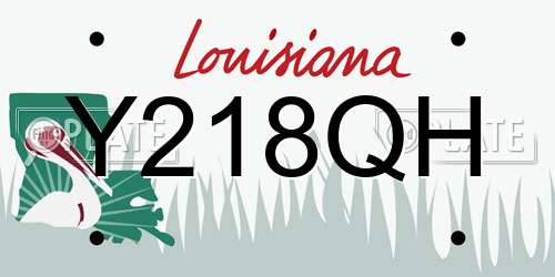 Y218QH Louisiana License Plate