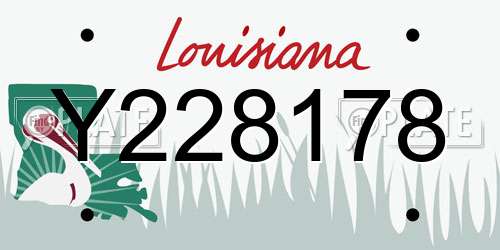 Y228178 Louisiana License Plate