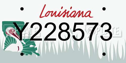 Y228573 Louisiana License Plate