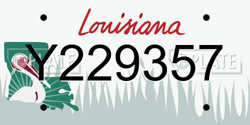 Y229357 Louisiana License Plate