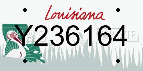 Y236164 Louisiana License Plate