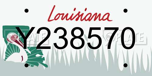 Y238570 Louisiana License Plate