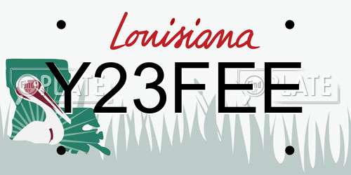 Y23FEE Louisiana License Plate
