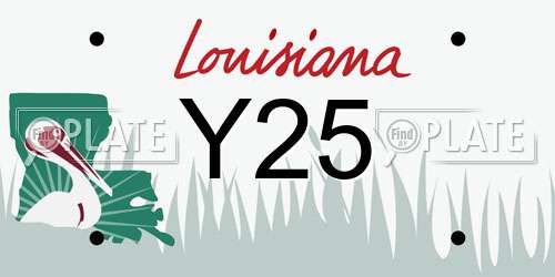 Y25 Louisiana License Plate