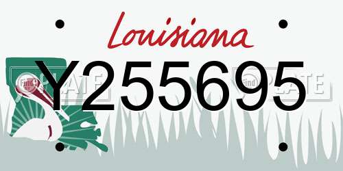 Y255695 Louisiana License Plate