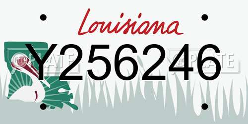 Y256246 Louisiana License Plate
