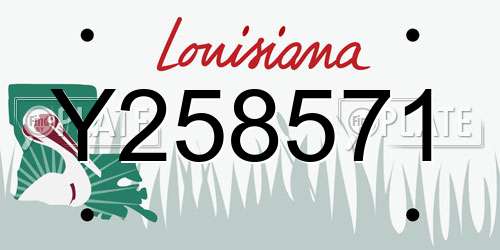 Y258571 Louisiana License Plate