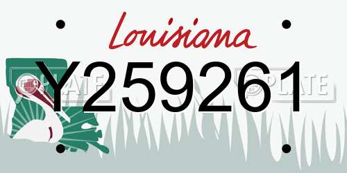 Y259261 Louisiana License Plate